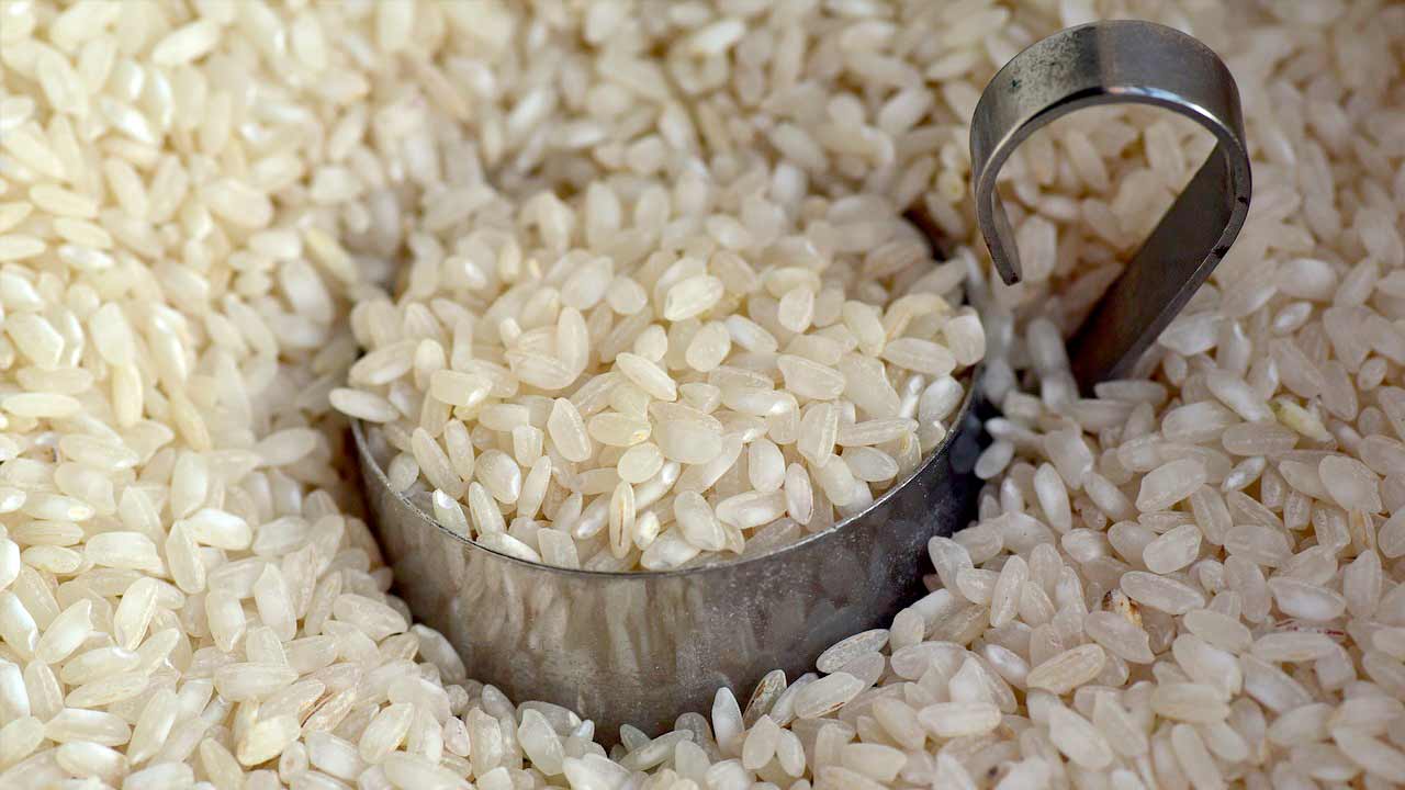 Arsénico en el arroz